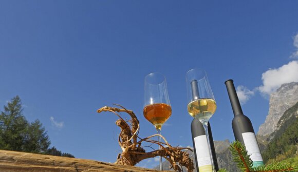 Alla scoperta delle erbe alpine