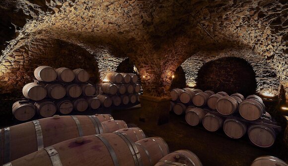 Degustazione vini - Castel Sallegg