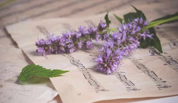 Orfeo Music Festival in Sterzing