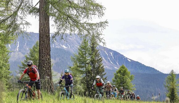 Rosadira Bike E-Bike: Latemar Ronda Easy
