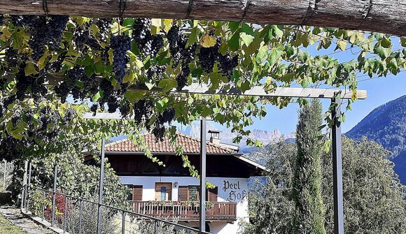 Visita e degustazione – Tenuta Perlhof