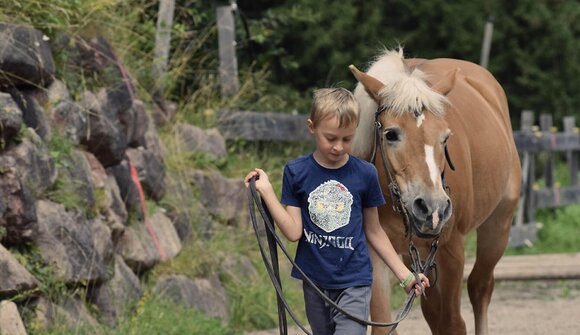 Kids Active: Horse Luck and Creativity