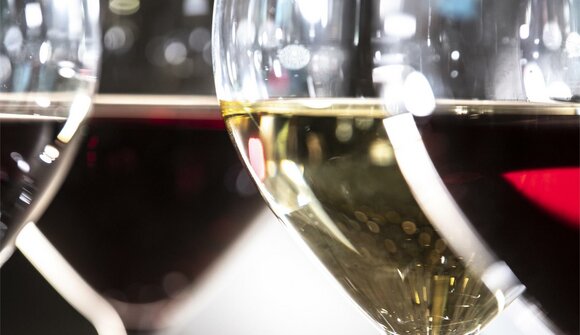 Wein- & Sektverkostung: Seeperle/Montris