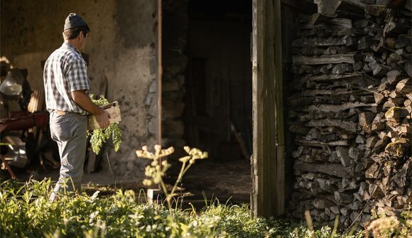 Erbe selvatiche, stregoneria & altro