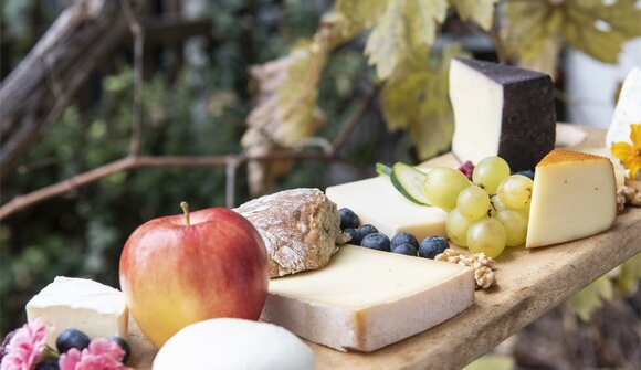 Alles Käse oder was?