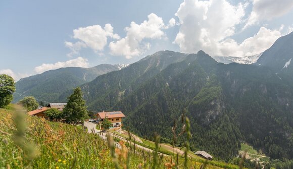 Das Leben auf dem Bergbauernhof