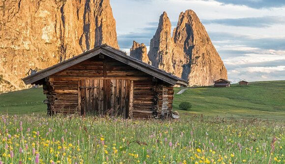 Escursione floristica: Alpe di Siusi