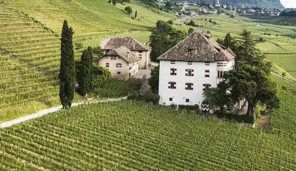 Weinbergführung: Castel Ringberg