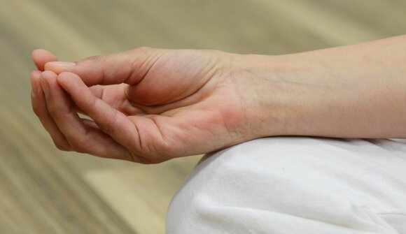 Meditazione Zazen tra i faggi