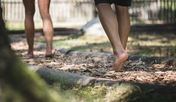 Alpine Wellness - Kneipp & more