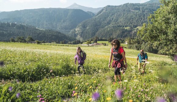 Escursione alla scoperta di fiori & erbe