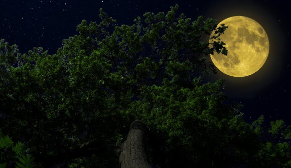 Escursione al chiaro di luna