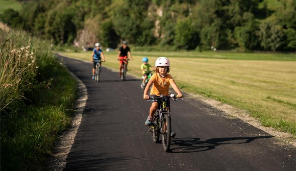 Tour guidato in e-bike per famiglie