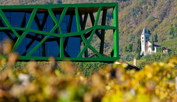 Visita della cantina di Termeno