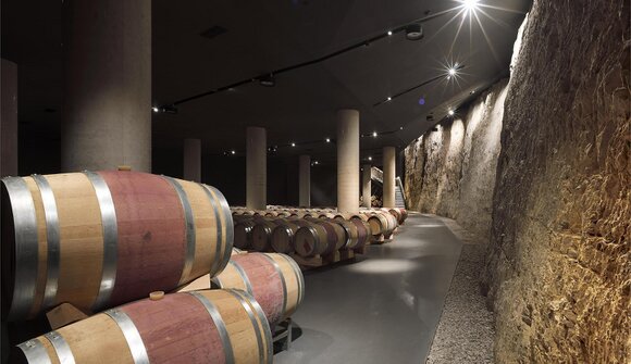 Terroir-Parcours Cantina Cortaccia