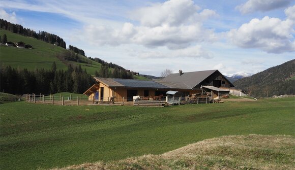 Kommt zum Reiten auf den Bodnerhof!