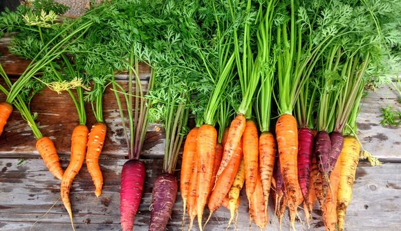 Mercato agricolo a Rovereto